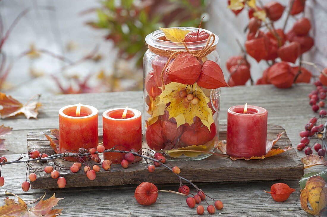 Holz-Schale mit Physalis (Lampions) in Einmachglas und roten Kerzen