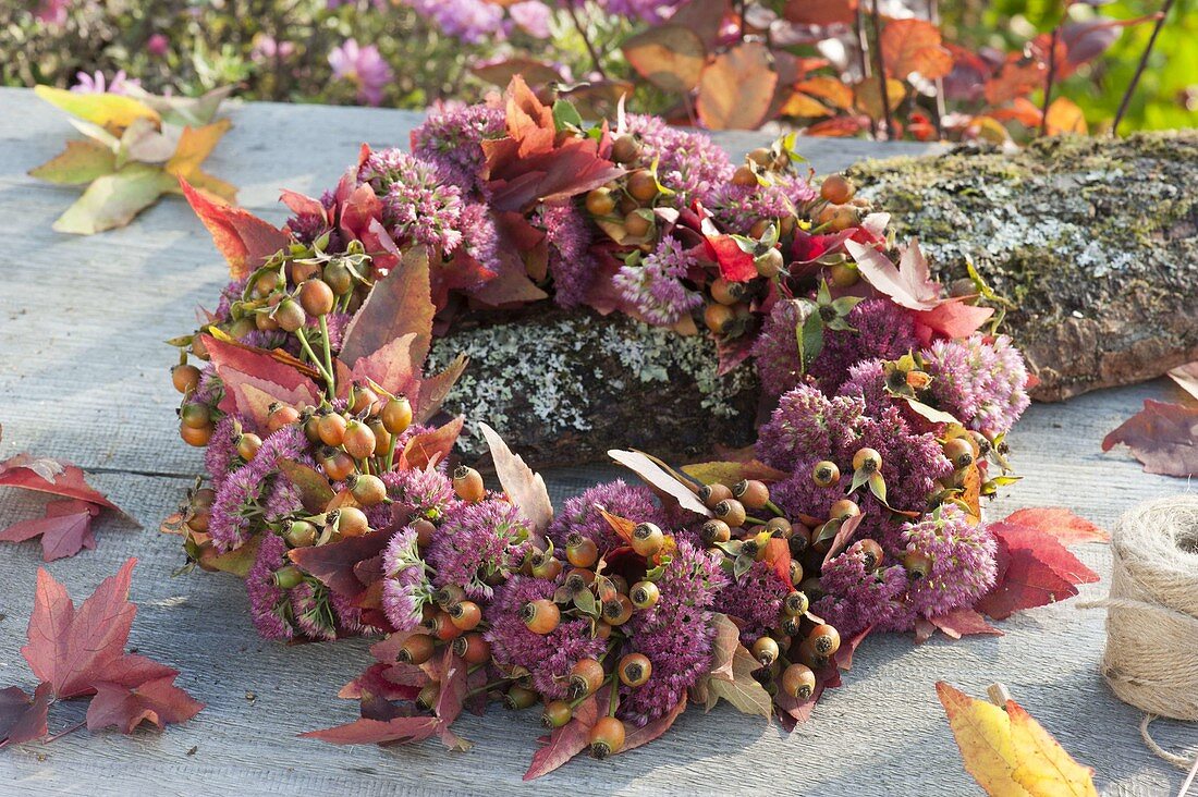 Herbstkranz mit Rosa (Hagebutten), Sedum telephium (Fetthenne)