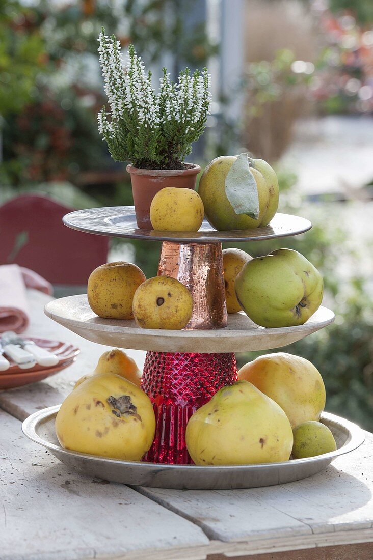 Etagere with quinces made from plates and cups