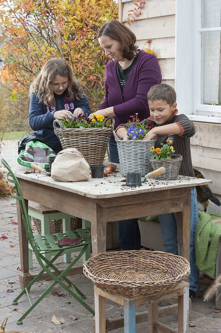 Mutter und Kinder bepflanzen Körbe mit Viola und Tulpenzwiebeln