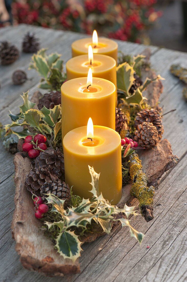 4 gelbe Kerzen in Rinde, geschmückt mit Ilex (Stechpalme), roten Beeren