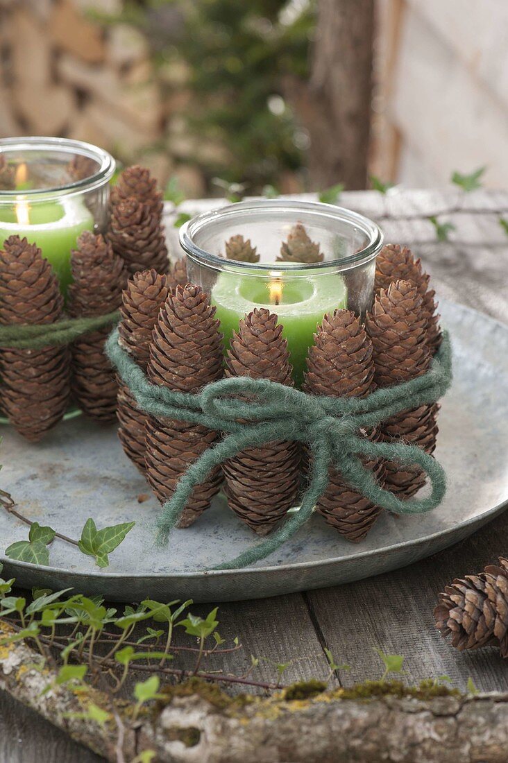 Windlichter mit grünen Kerzen, verkleidet mit Zapfen von Picea (Fichte)