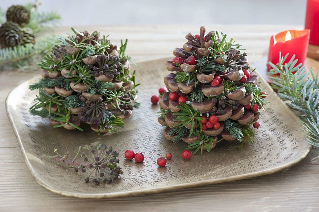 Zapfen von Pinus (Pinie) gefüllt mit roten Beeren von Ilex (Stechpalme)