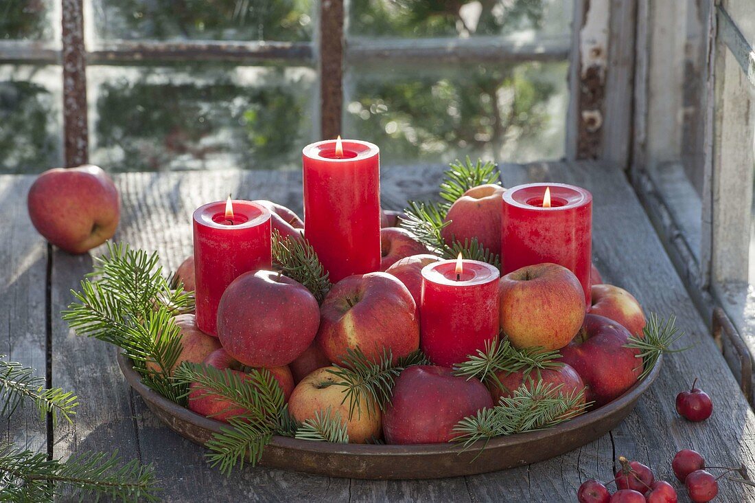 Schneller Adventskranz aus 4 roten Kerzen, Äpfeln (Malus) und Abies