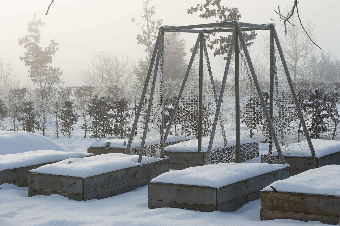 Raised beds with trellises in a snow-covered garden