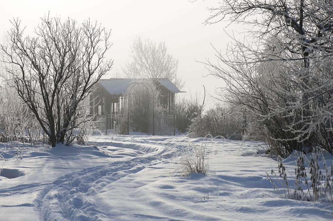 Spur durch den verschneiten Garten führt zum Teehaus, Gehölze mit Rauhreif