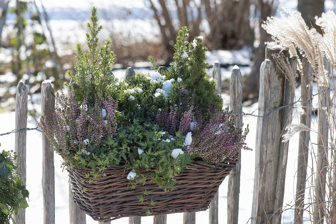 Basket box at the garden fence