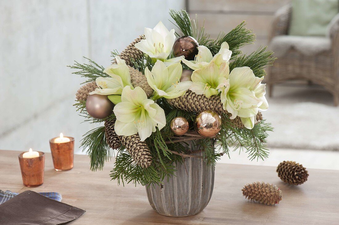 Christmas bouquet with white Hippeastrum, Pinus branches