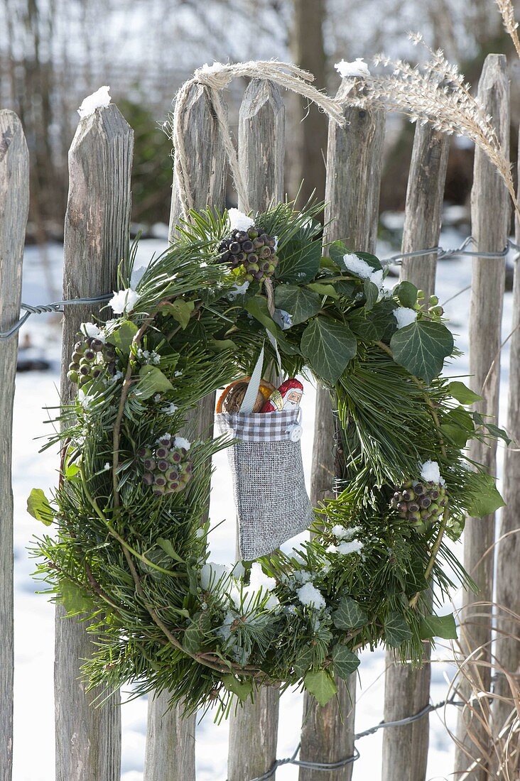 Wreath of hedera and abies and pinus twigs