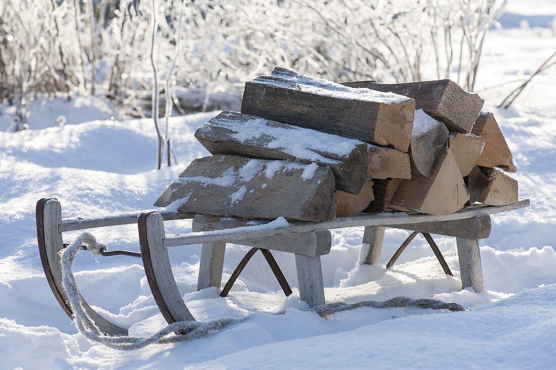 Schlitten mit Brennholz im verschneiten Garten