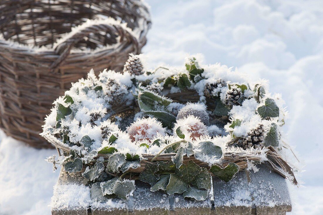 Hedera wreath over-frozen with thick hoarfrost crystals