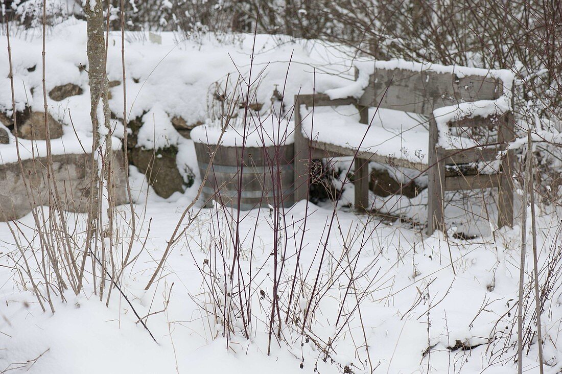 Snow-covered wooden bench next to wooden barrel in wintry garden