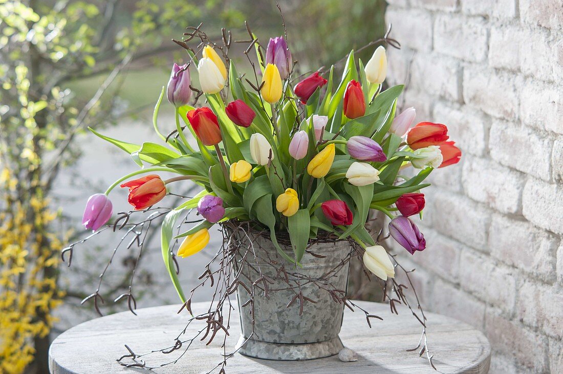 Colorful Tulipa and Betula branches bouquet