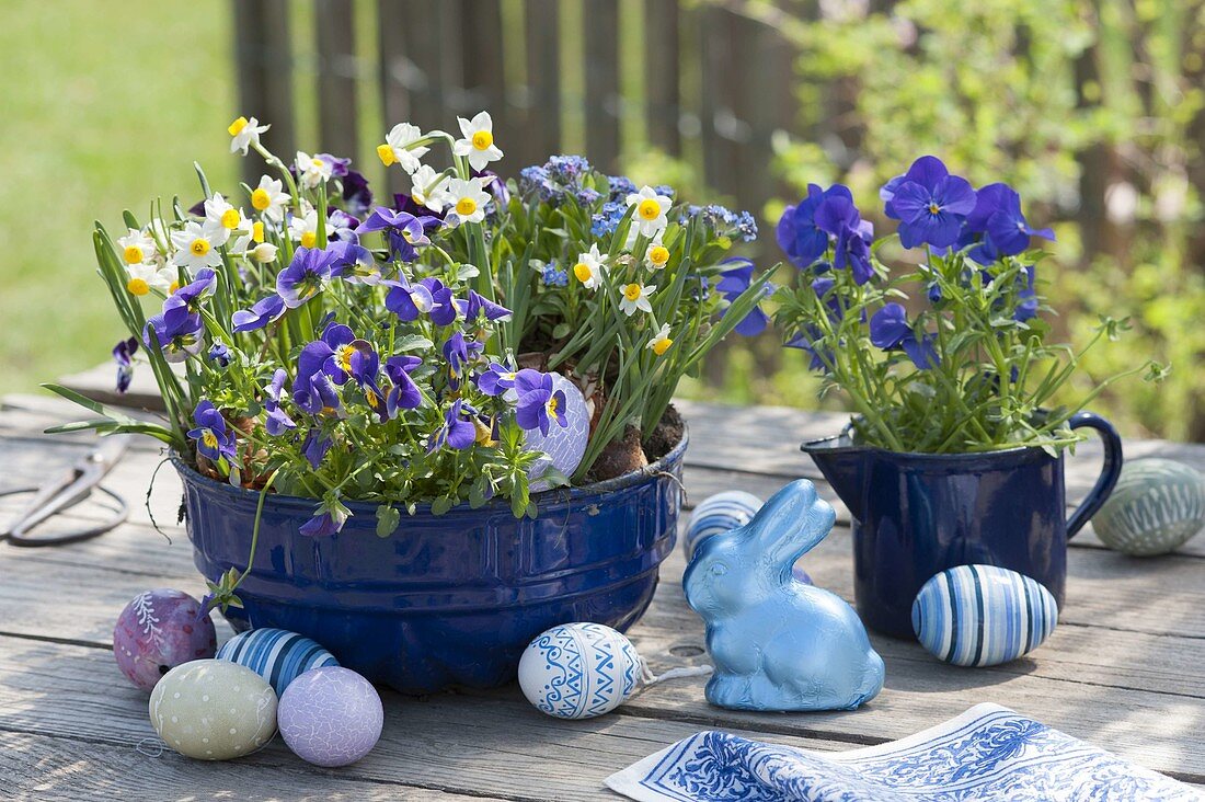 Blaue, emaillierte Guglhupfform, Backform und Milchtopf bepflanzt mit Narcissus