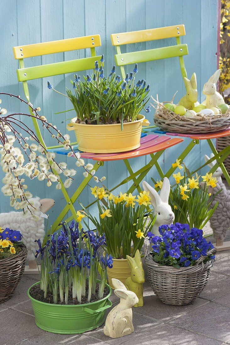 Blue-yellow planted Easter terrace with colorful folding chairs