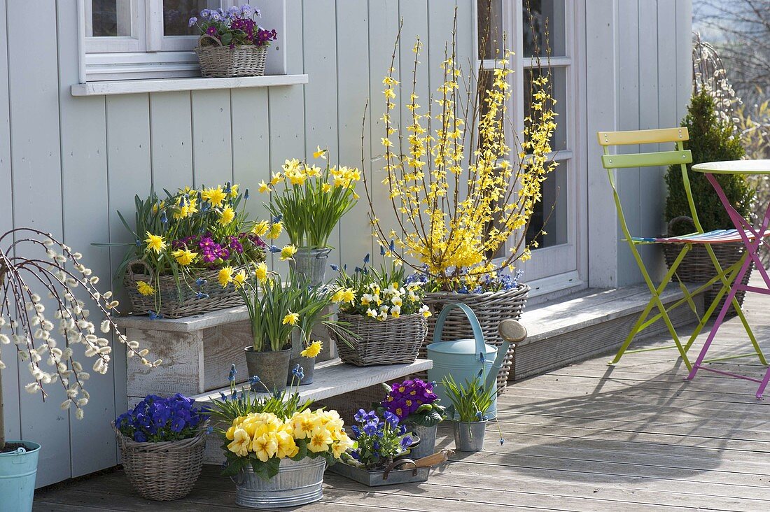 Colorful spring planted terrace