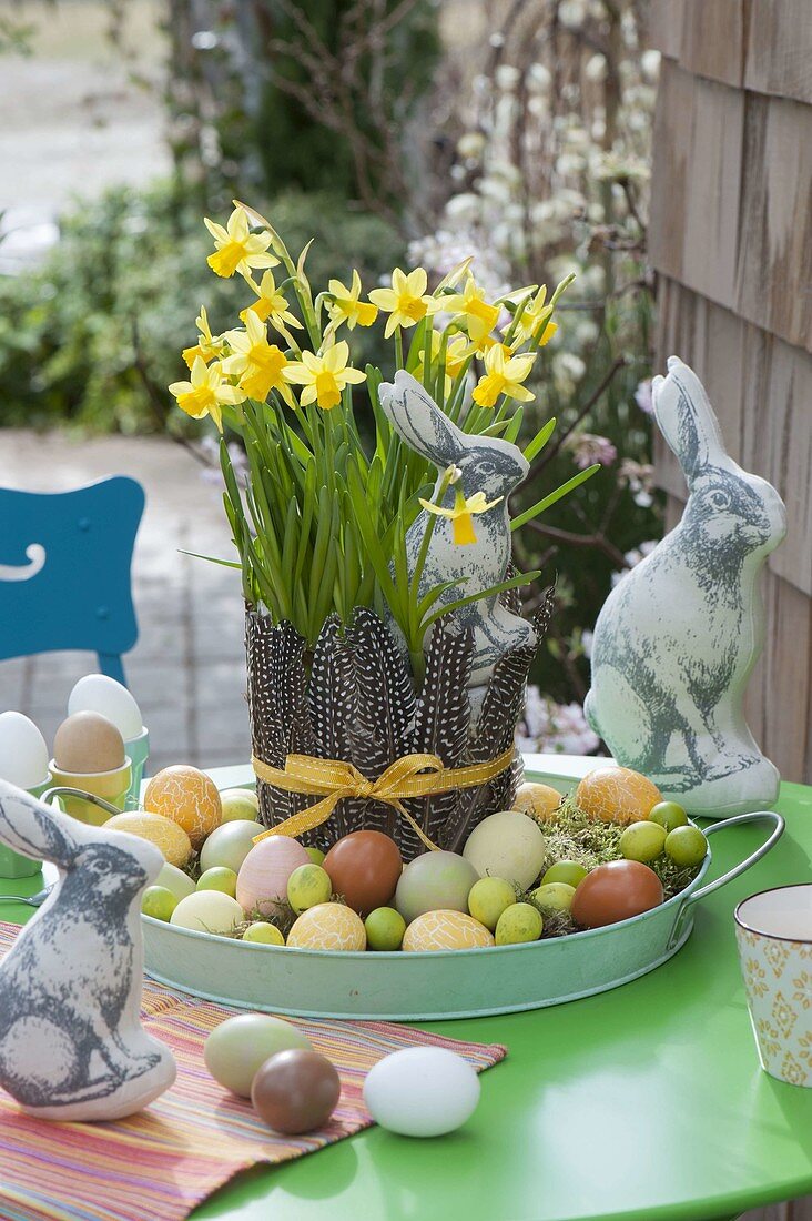 Easter table with Narcissus 'Tete a Tete' in pot with disguise