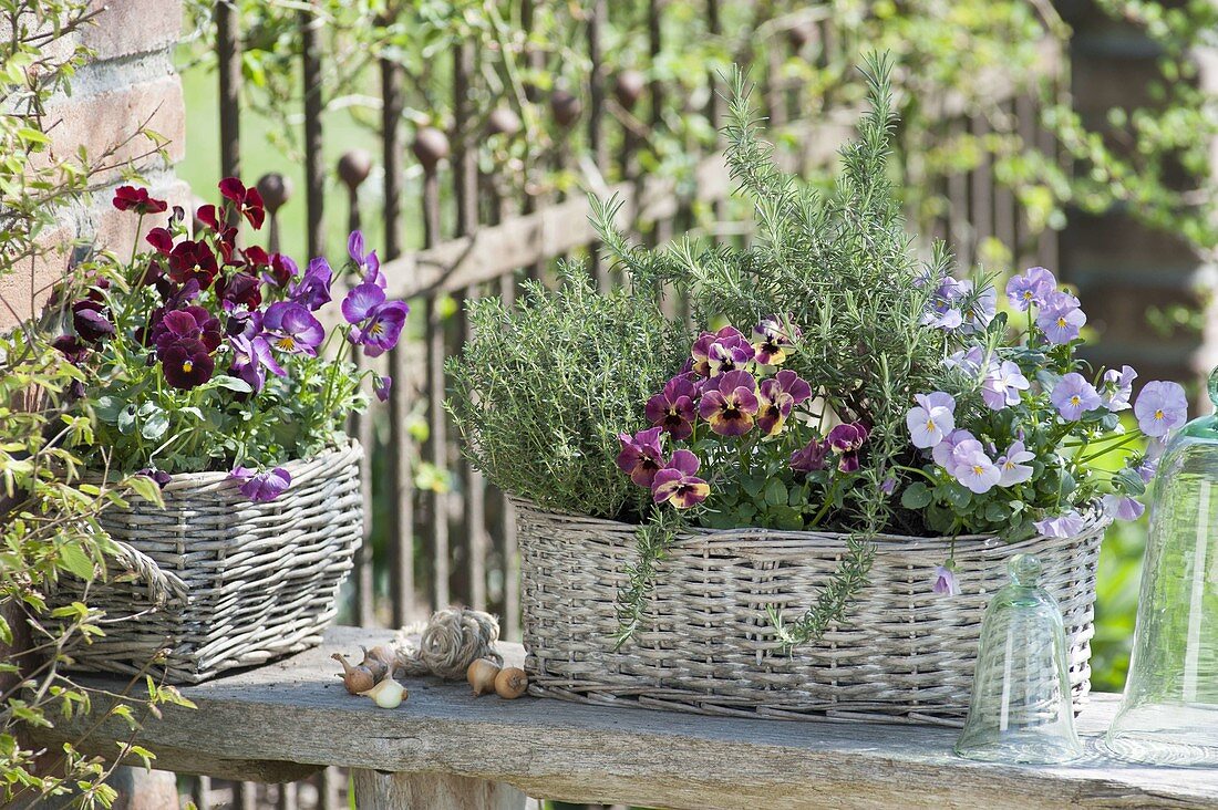 Baskets with edible flowers and herbs