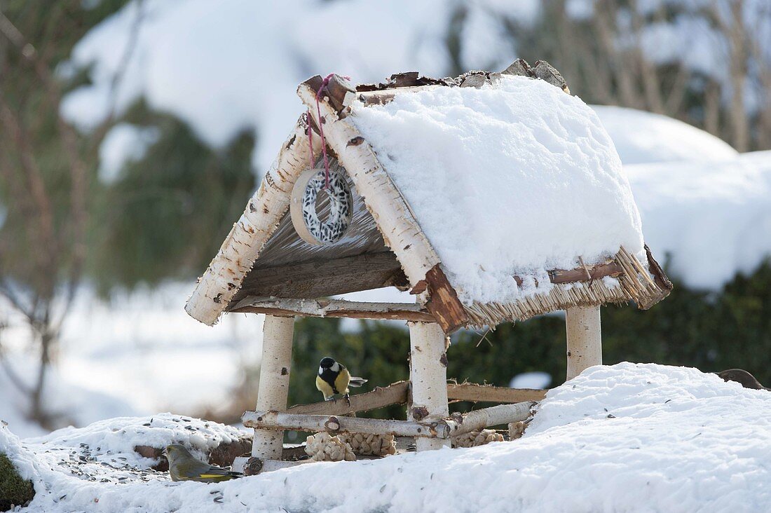 Verschneites Vogelfutterhaus mit Kohlmeise und Grünfink