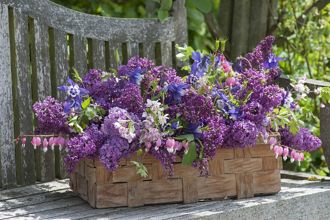 Fragrant spring basket with lilac and perennials