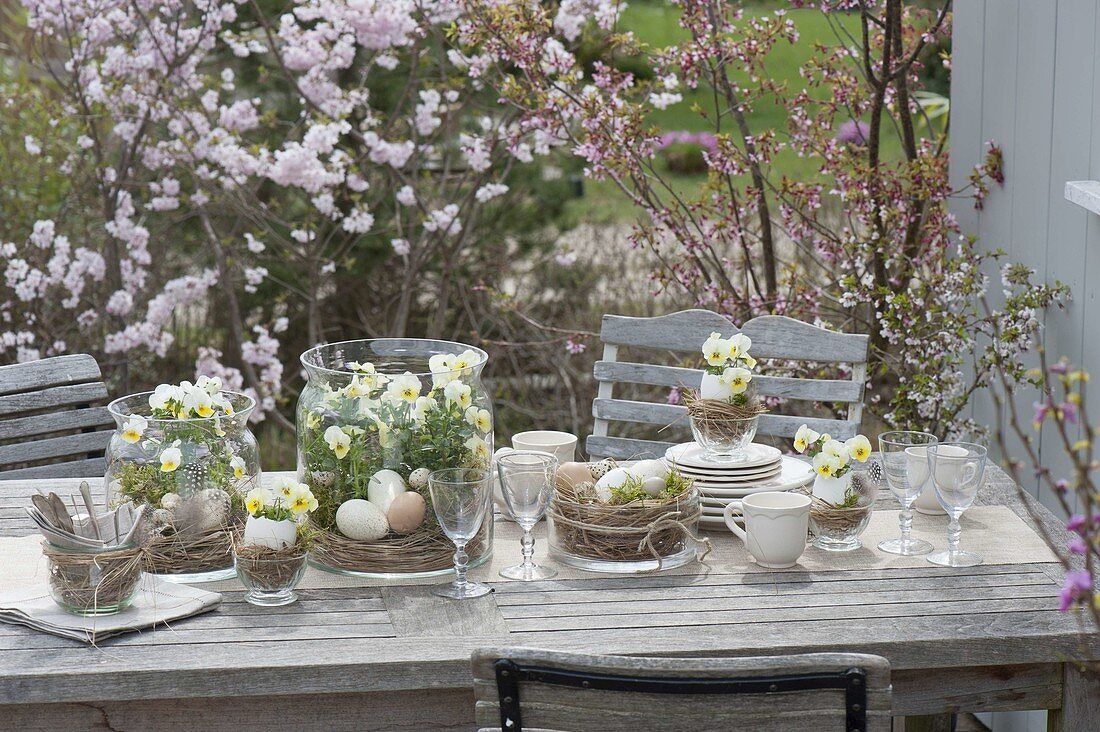 Oster-Tischdeko mit Hornveilchen auf der Terrasse