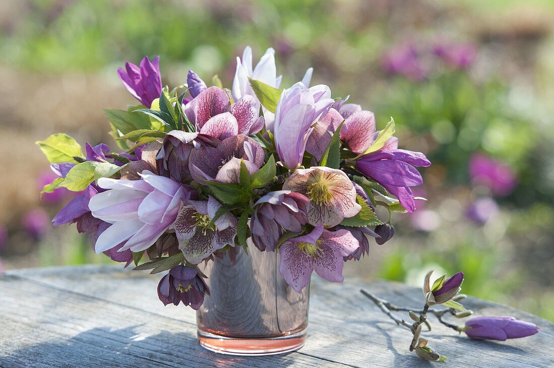 Pink purple bouquet of Magnolia and Helleborus branches