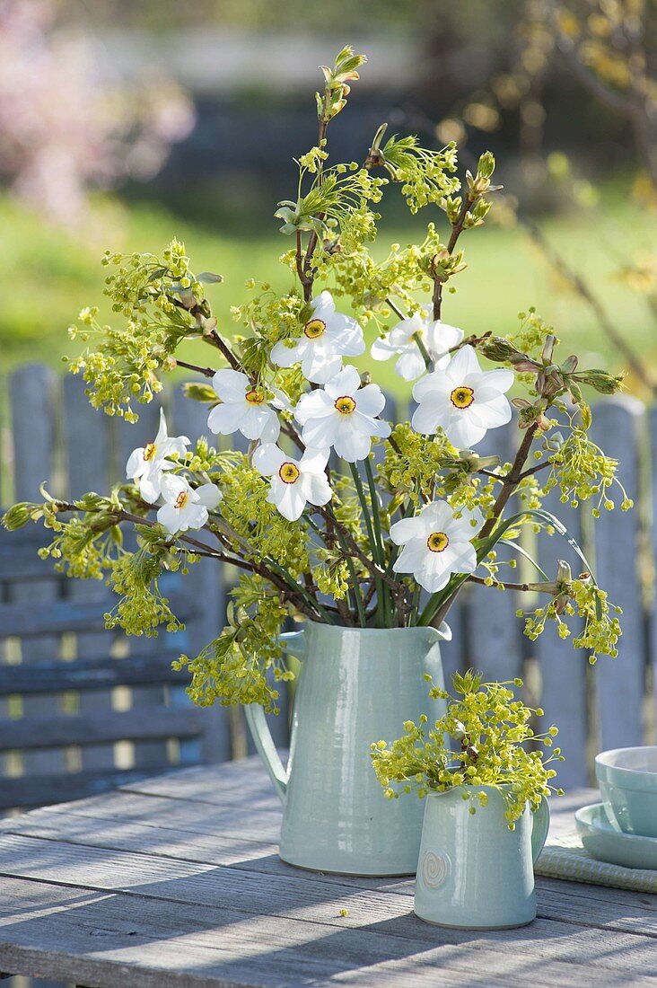 Fruehlingsstraeusse aus Narcissus poeticus (Dichternarzissen)