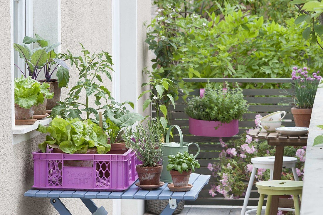 Small vegetable garden on the balcony