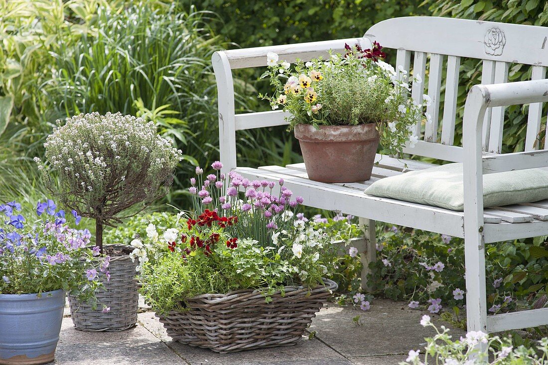 Baskets and pots of herbs and edible flowers on and on bench
