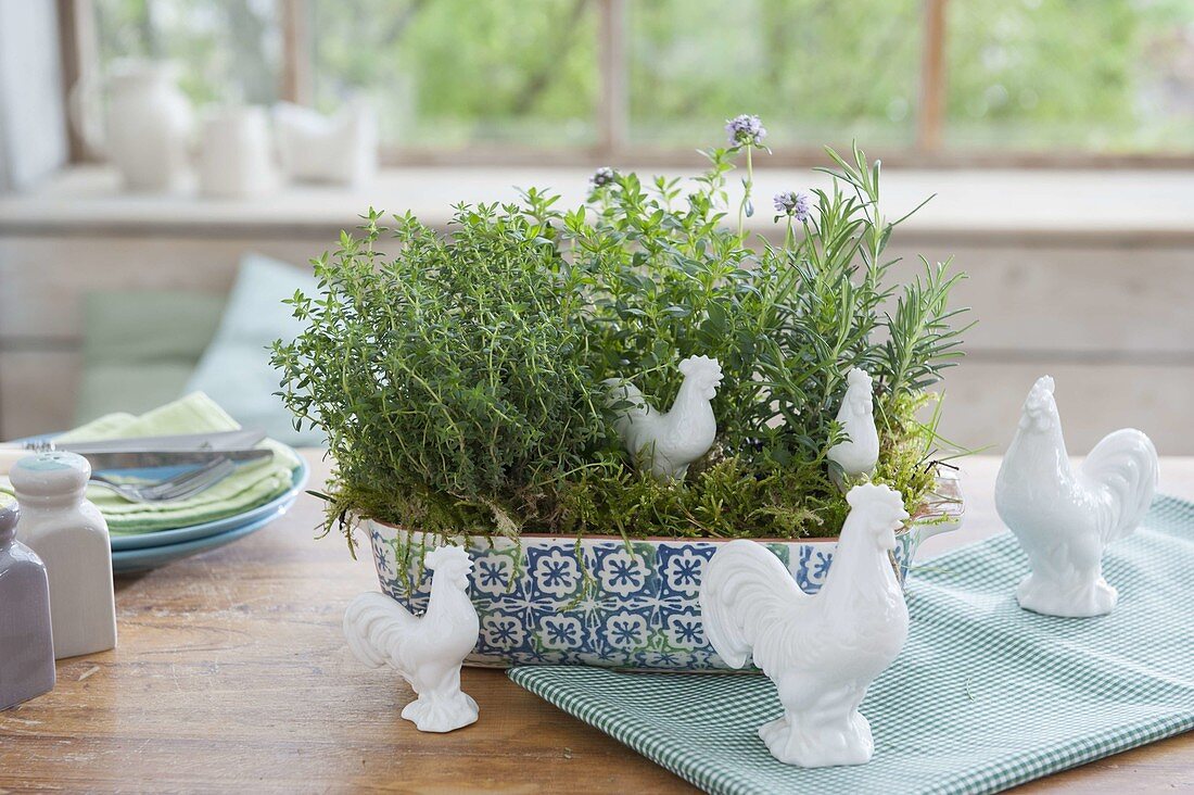 Ceramic box with thyme, savory and rosemary