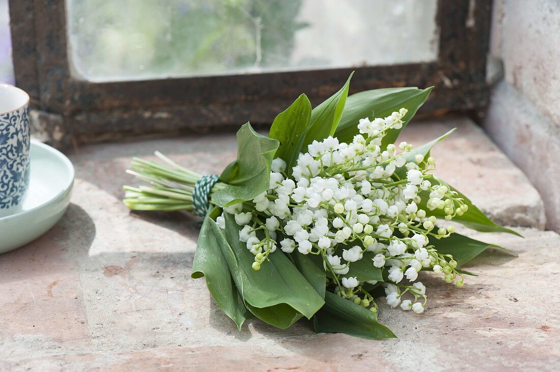 Convallaria (lily of the valley) bouquet on the greenhouse window