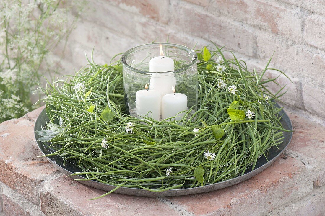 Rapeseed wreath bound with immature seeds