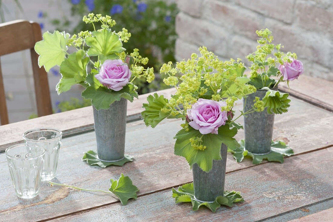 Hohe Zink-Becher als Vasen mit Alchemilla mollis (Frauenmantel) und Rosa
