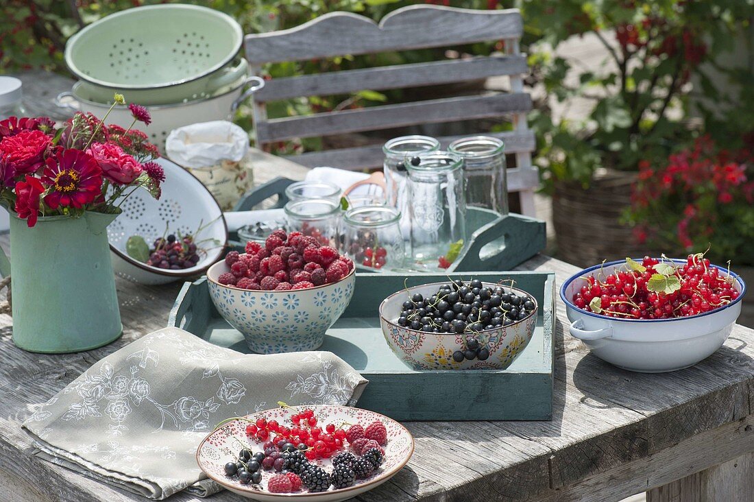 Bowls with freshly picked red and black currants