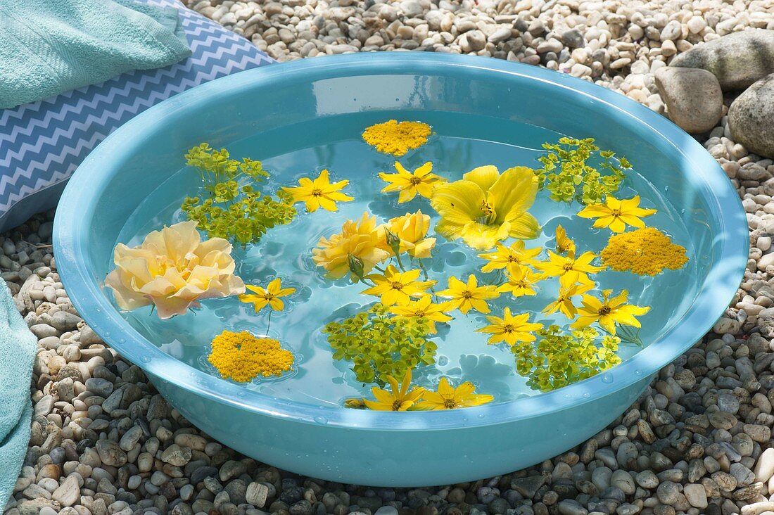 Türkise Schale mit gelben Blüten im Wasser schwimmend