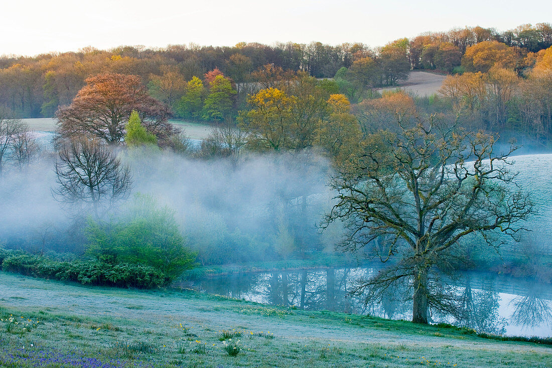 Gravetye Manor, Sussex, Nebel steigt im Frühling vom See auf