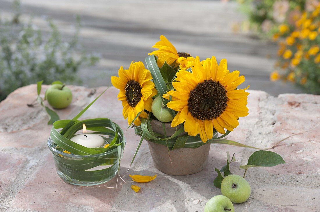 Small decoration with Helianthus, Miscanthus