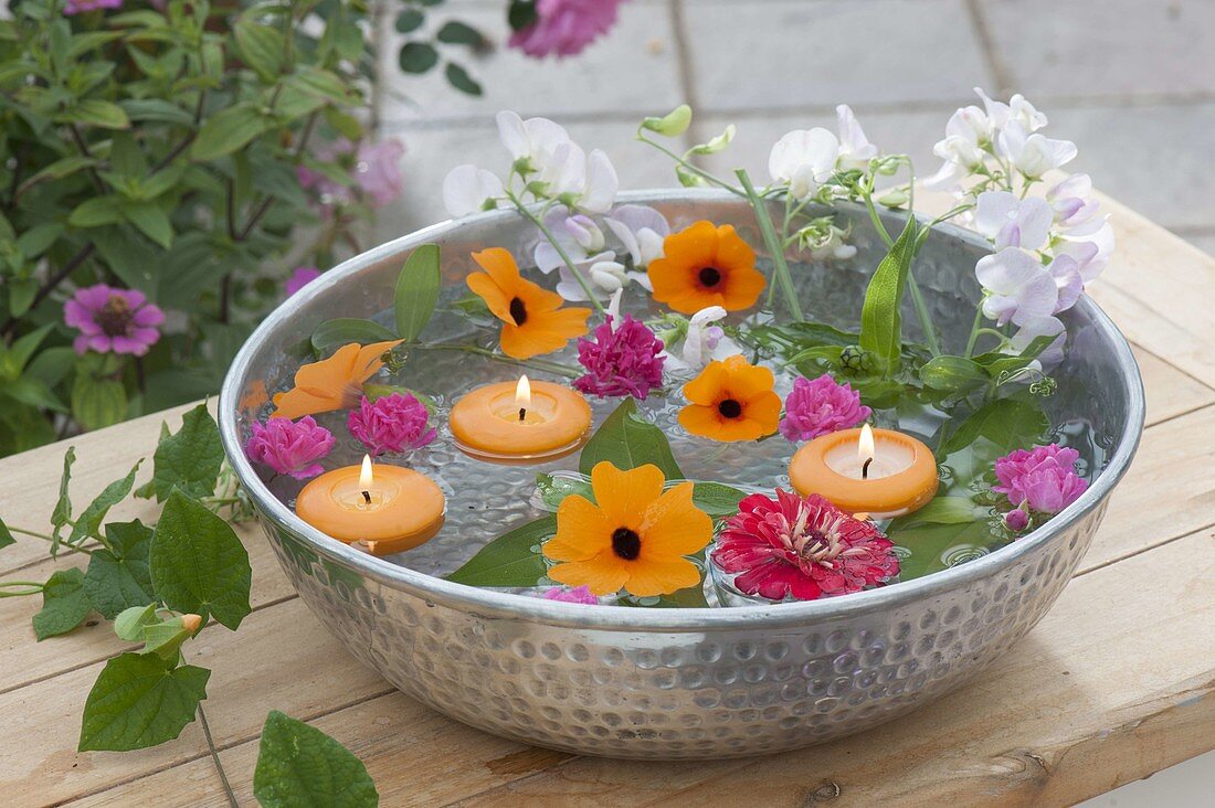 Silver bowl with flowers of Thunbergia alata