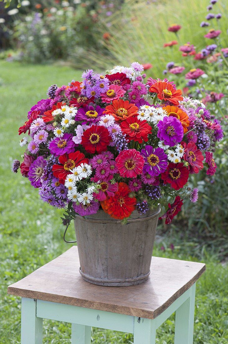 Rustic bouquet made of zinnia, aster (white wood aster)