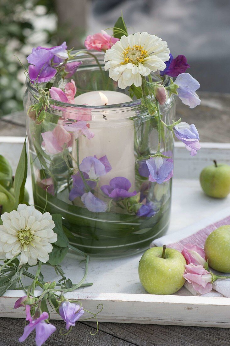 Lantern with scented peas and zinnias