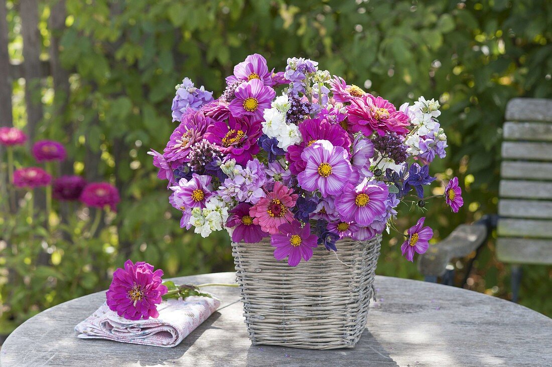 Duftender Sommerstrauss in Korbvase : Zinnia (Zinnien), Cosmos