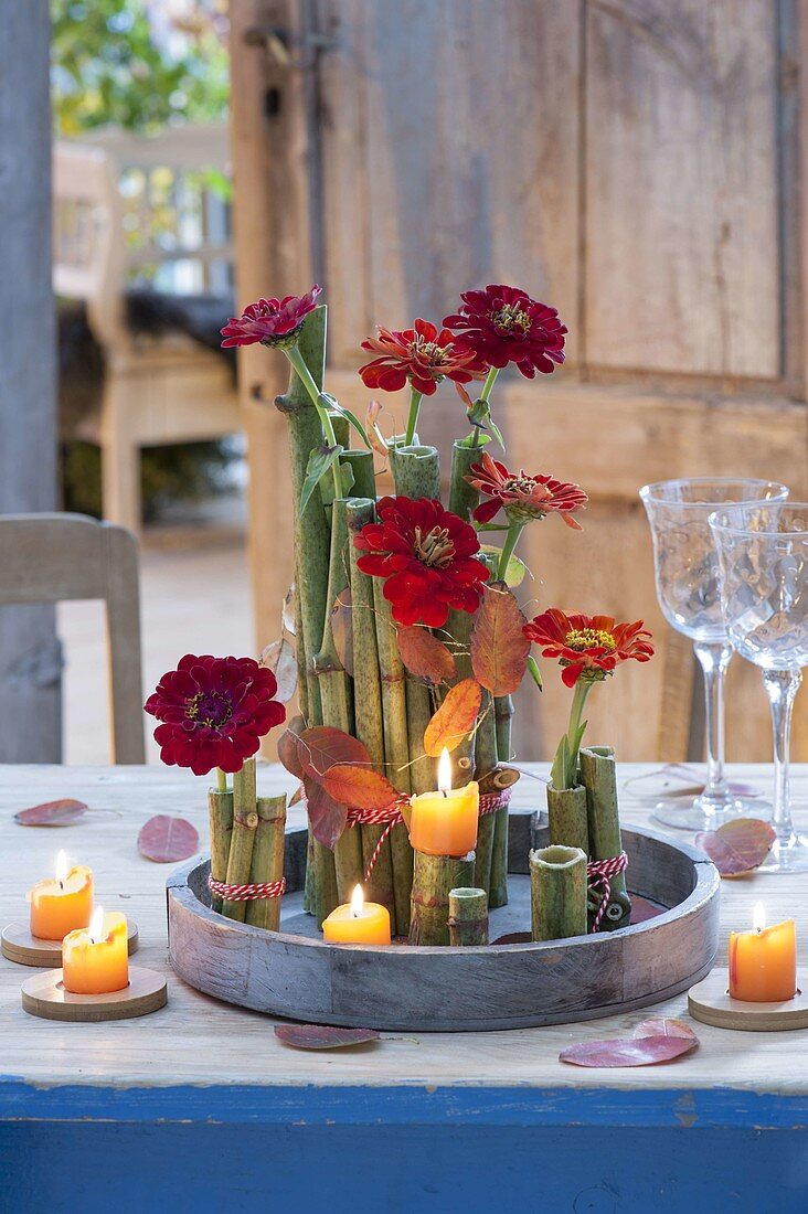 Autumn table decoration with pieces of giant knotweed