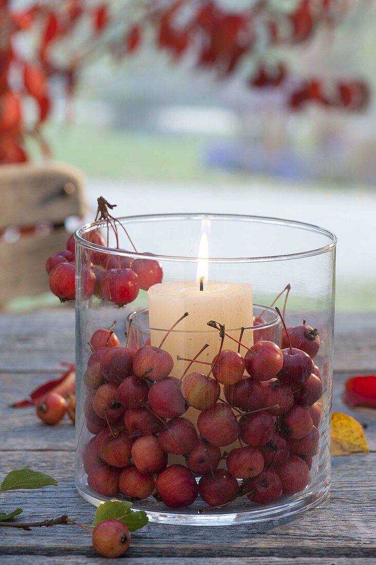 Glass in glass lantern with ornamental apples (malus) and white candle
