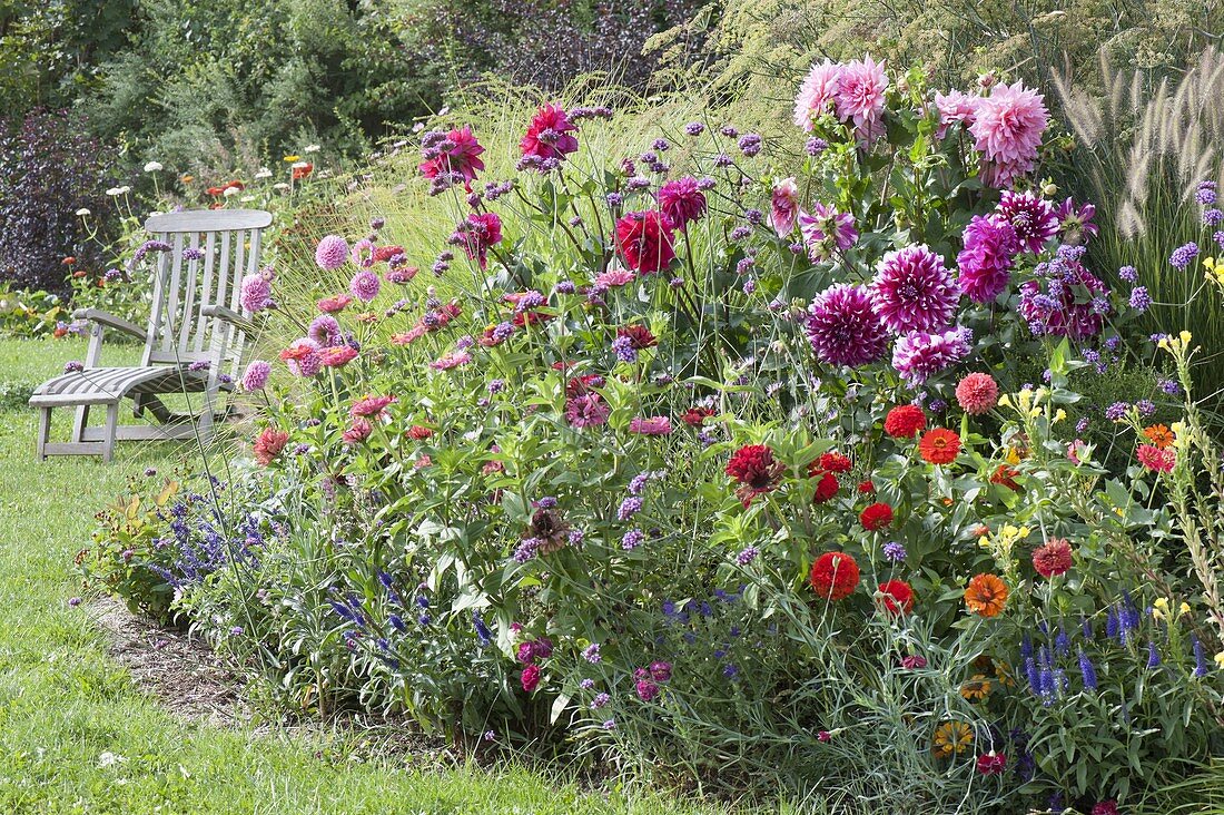 Colorful bed with summer flowers and perennials