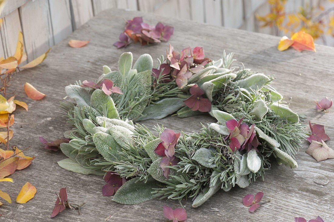 Autumnal wreath of Stachys byzantina leaves