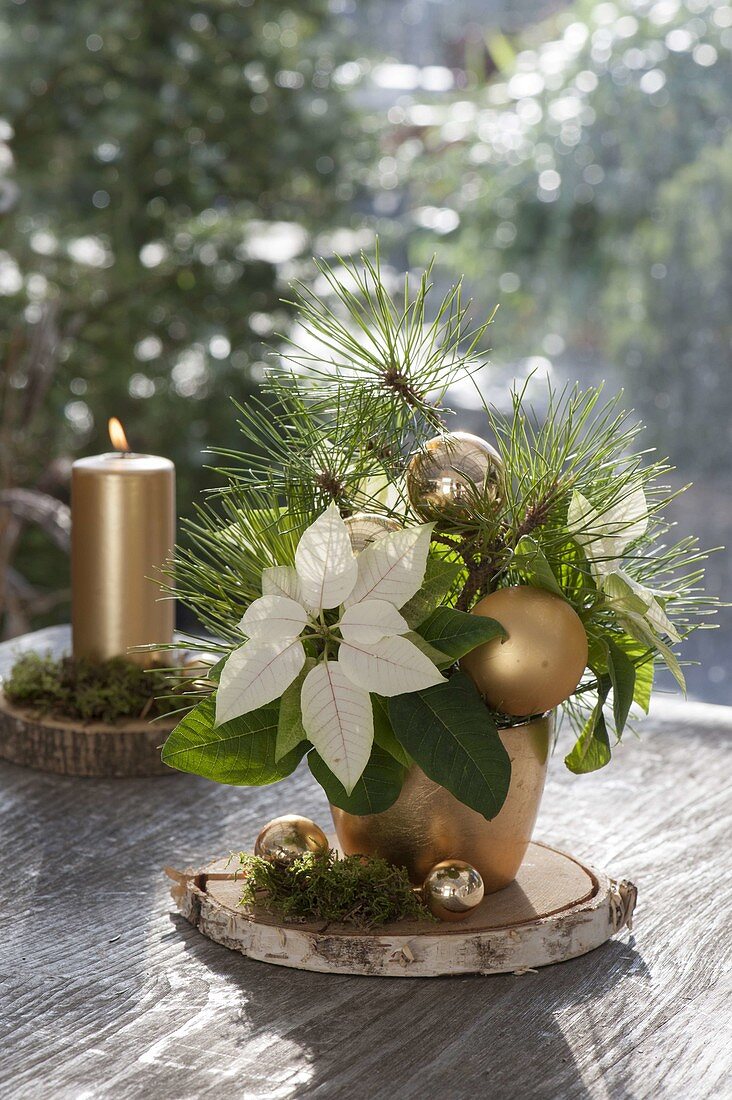 Weihnachtsstrauss aus Euphorbia pulcherrima (Weihnachtsstern)