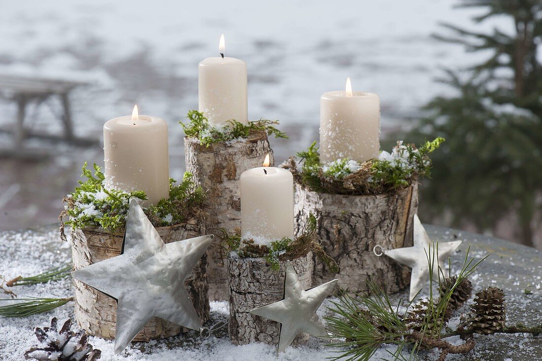 weiße Kerzen mit Moos auf Birkenstaemmen