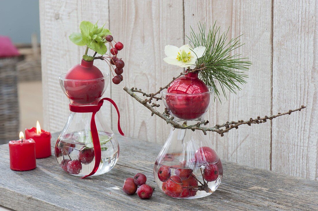 Small Advent decoration in glasses with ornamental apples (Malus) in the water