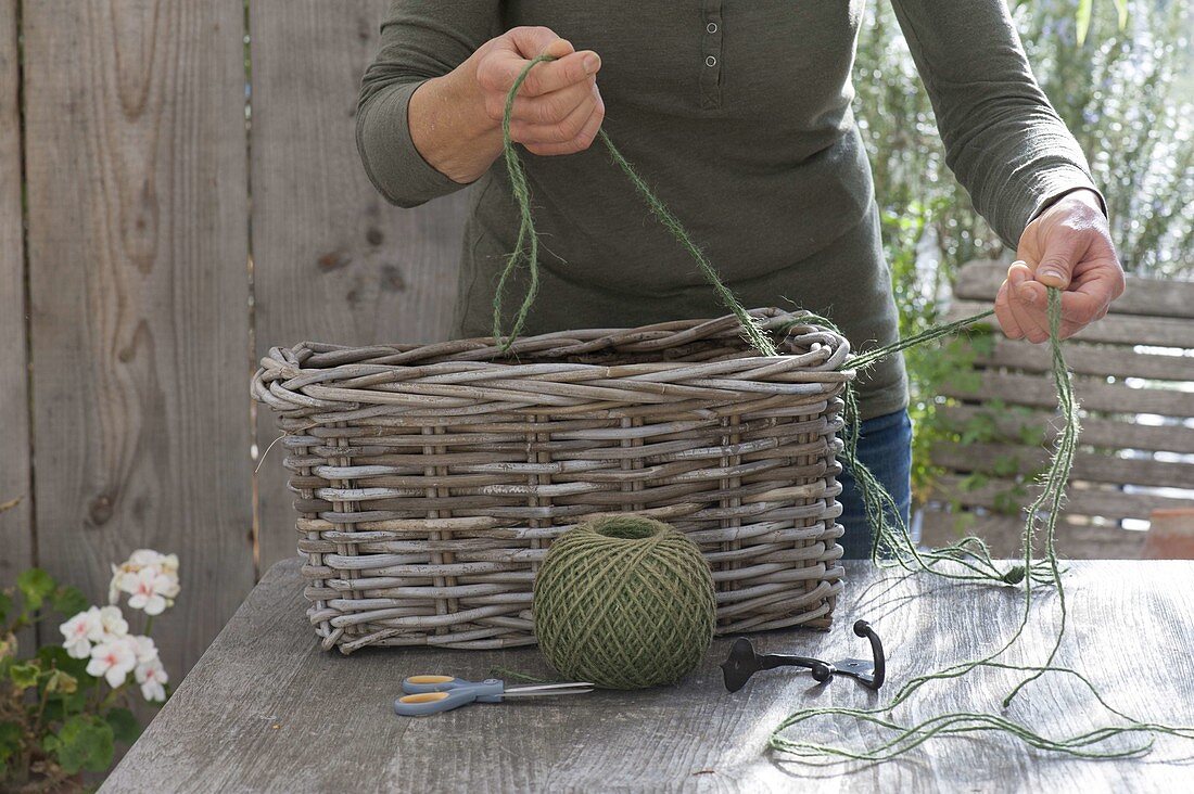 Hanging basket box with Pelargonium peltatum Ville de Paris