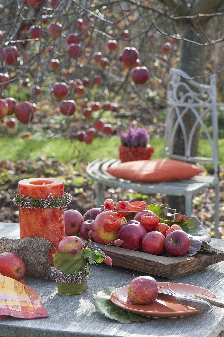 Autumn table decoration at the apple tree